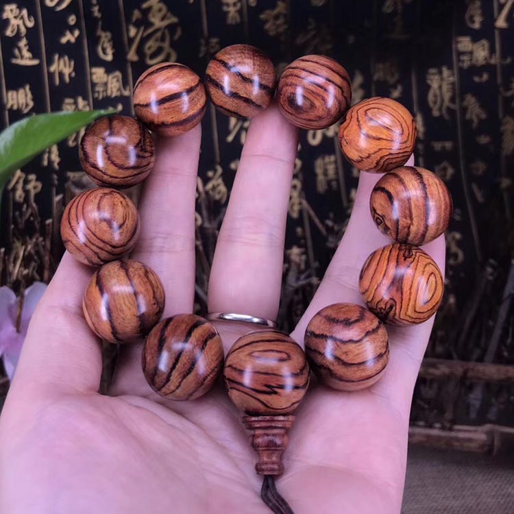 �����S�����ִ�����k���y�y2.0